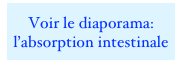 Voir le diaporama:
l’absorption intestinale